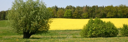 Wellnessurlaub Prignitz